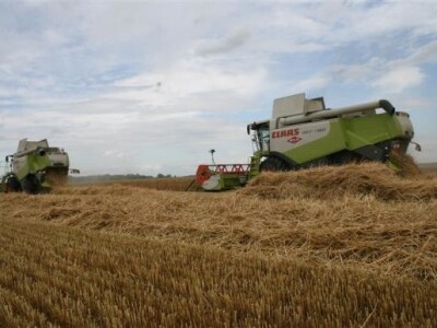 Belje - žetva pšenice 2011.