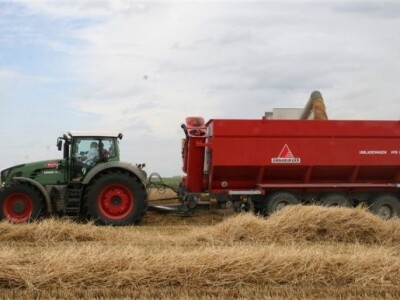 Belje - žetva pšenice 2011.