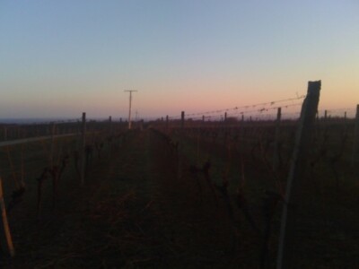 Suton u siječnju na Banovu brdu