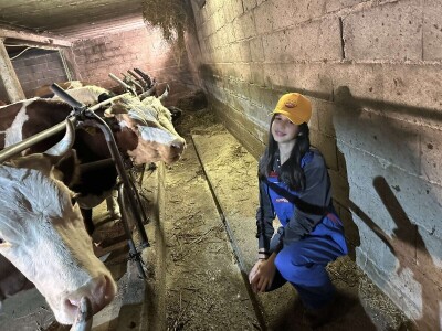 Belkisa Porčić na farmi u Krivaji kod Cazina