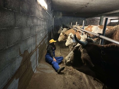 Belkisa Porčić na farmi u Krivaji kod Cazina