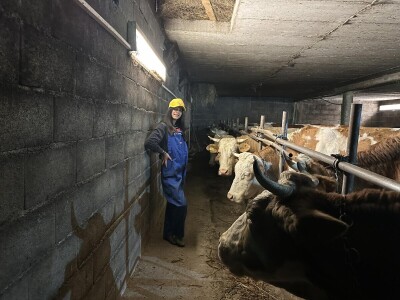 Belkisa Porčić na farmi u Krivaji kod Cazina