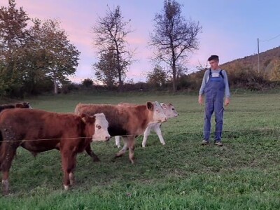 Benjamin Vuković: San mi je imati veliku farmu junadi