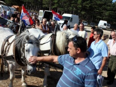 Benkovački stočni sajam Benkovački stočni sajam