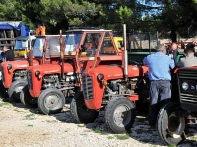 Benkovački stočni sajam Benkovački stočni sajam