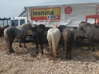 Benkovački sajam na novouređenom prostoru