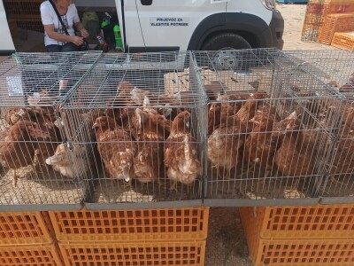 Benkovački sajam na novouređenom prostoru