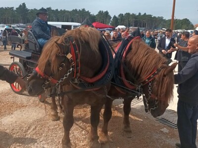 Benkovački sajam na novouređenom prostoru