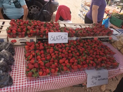 Benkovački sajam na novouređenom prostoru