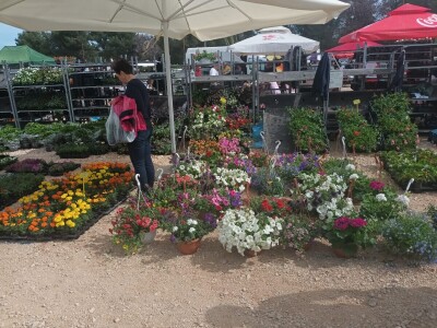 Benkovački sajam na novouređenom prostoru