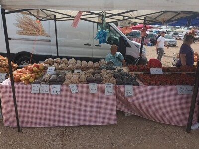 Benkovački sajam na novouređenom prostoru