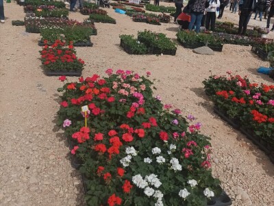 Benkovački sajam na novouređenom prostoru