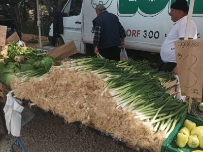 Benkovački sajam na novouređenom prostoru