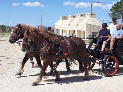Benkovački sajam - turistička atrakcija