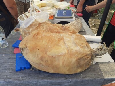 Benkovački sajam - turistička atrakcija