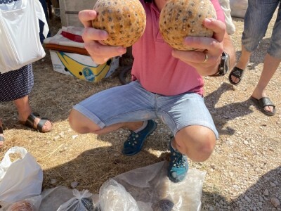 Benkovački sajam u srpnju