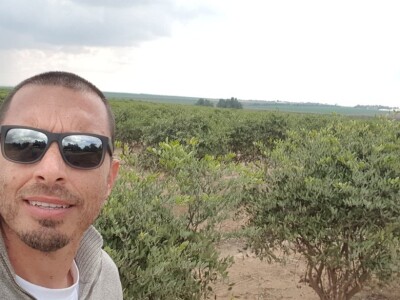 Beograđanin u Izraelu proizvodi jojobu