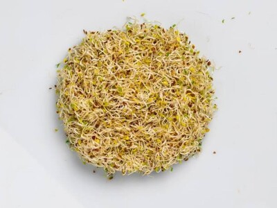 Beograđanka proizvodi mikrobilje u centru grada