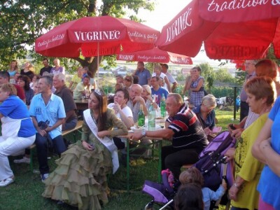 Brdovečka tradicionalna manifestacija berbe
