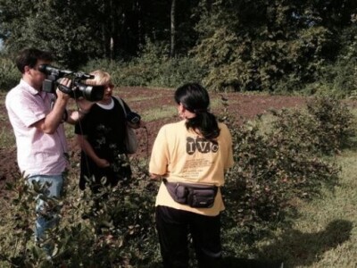 Ručna berba aronije na OPG Šarić