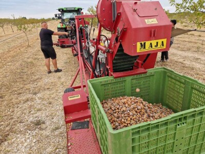 Berba badema Zrno Zfravlja d.o.o.