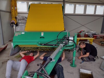 Berba eko kamilice u Pitomači