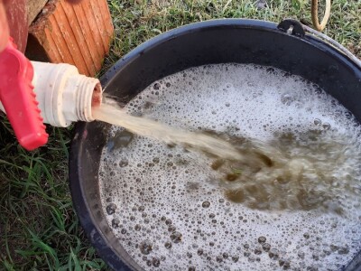 Berba grožđa na Plešivici