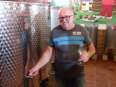 Berba grožđa na Plešivici