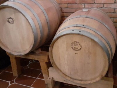 Berba grožđa na Plešivici