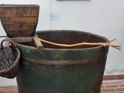 Berba grožđa na Plešivici