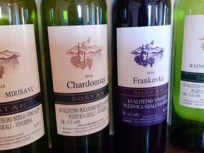 Berba grožđa na Plešivici