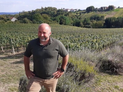 Berba grožđa na Plešivici