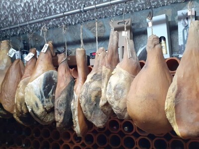 Berba grožđa na Plešivici