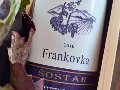 Berba grožđa na Plešivici