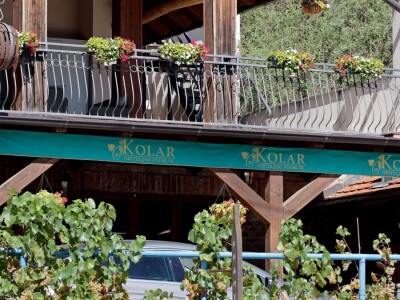 Berba grožđa, Suza, Podrumi Kolar