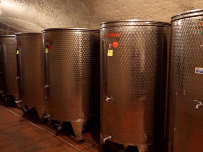 Berba grožđa, Suza, Podrumi Kolar