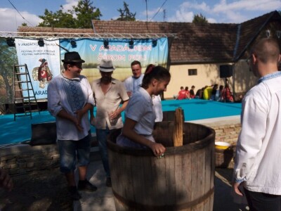 Berba grožđa u Aracu