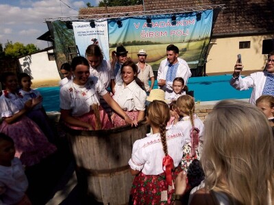 Berba grožđa u Aracu