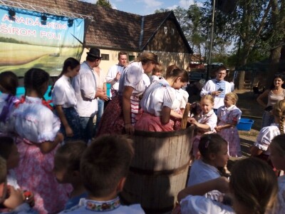 Berba grožđa u Aracu