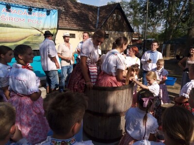 Berba grožđa u Aracu