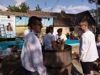 Berba grožđa u Aracu