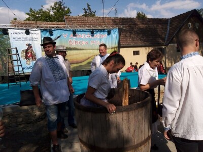 Berba grožđa u Aracu