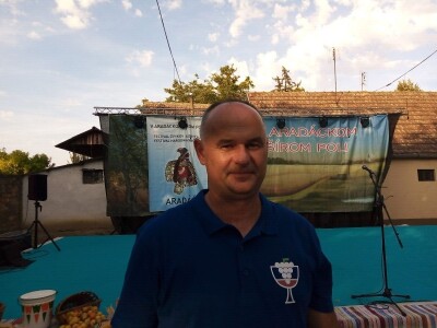 Berba grožđa u Aracu