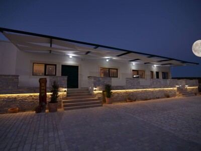 Berba grožđa u Dalmaciji