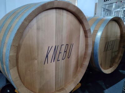 Berba grožđa u Tomislavgradu