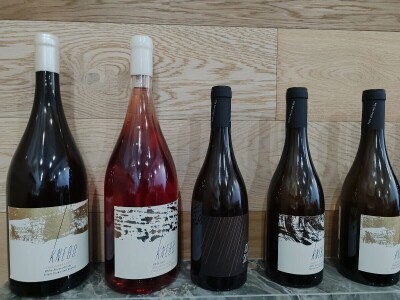 Berba grožđa u Tomislavgradu