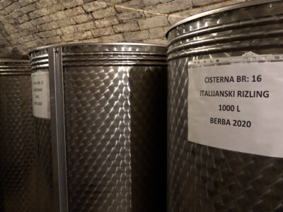 Berba grožđa u vinariji Kosović