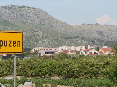 Berba i otkup jagoda