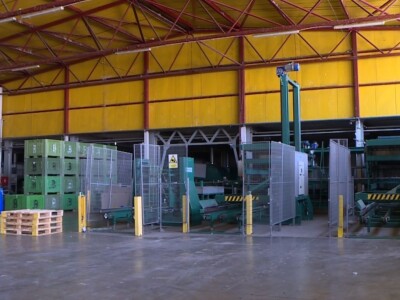 Berba i otkup jagoda