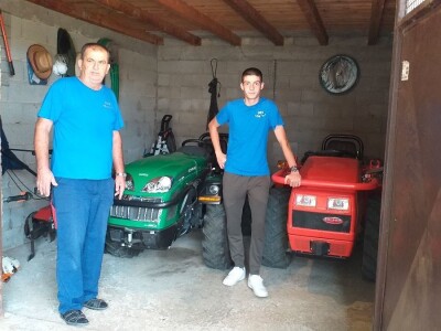 Berba i prerada maslina u Hercegovini